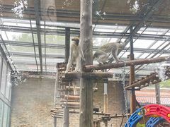 -石家庄市动物园