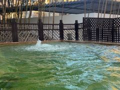 -春晖园度假酒店温泉