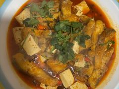 -煲来饱去冷水鱼