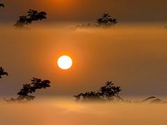 -火炉山森林公园