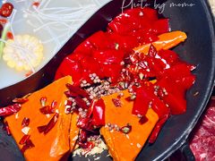 -阳阳老火锅(小南门店)