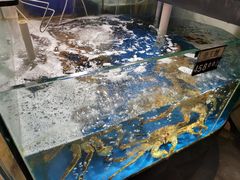 -蟹之国·精品蟹料理(极地店)