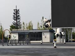 -成都大熊猫繁育研究基地