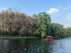 -荔湾湖公园