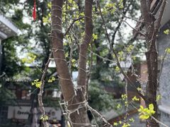 -重庆十八梯传统风貌区