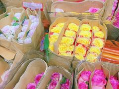 -溪岸路花鸟市场