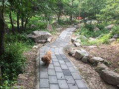 -大岭沟猕猴桃谷风景区