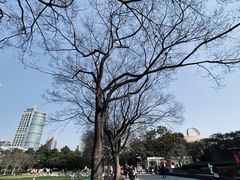-人民广场