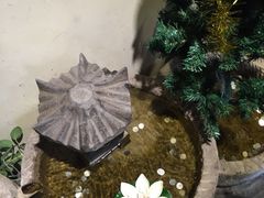 -茶花妹子云南餐厅(传媒大学店)
