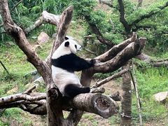 -宁波野生动物园