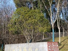 -绍兴镜湖国家城市湿地公园