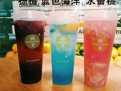 -树夏(鹭洲里店)