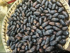 -昆虫窝子·特色云南菜(拓东路总店)