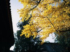 -红螺寺