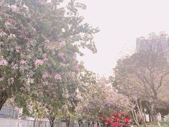 -景田北六街公园宠物主题园