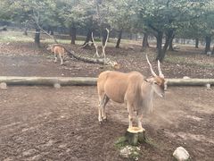 -西安秦岭野生动物园
