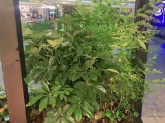 -嘎嘎鸭脑壳(蜀汉路店)