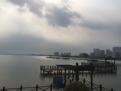 -碧海金沙