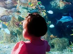 -沙沙哗啦海洋馆(华宇百花谷店)