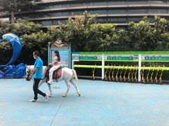 -芜湖新华联大白鲸海洋公园