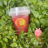 你就是我戒不掉的那杯茶