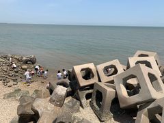 -东疆建设开发纪念公园