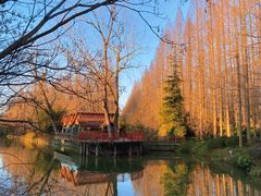 -上海怡沁园度假酒店