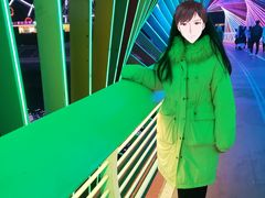 -琴岛之星摩天轮