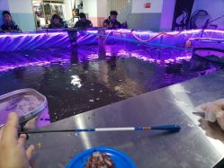 -巡鱼道·室内垂钓·渔具店