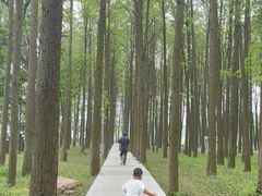 -汉水公园