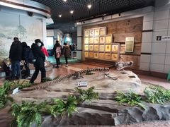 -自贡恐龙博物馆