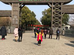 -溱湖国家湿地公园