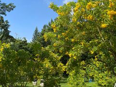 -深圳国际园林花卉博览园