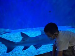 -华夏文旅海洋公园