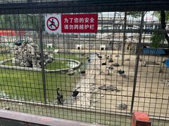-保定市动物园