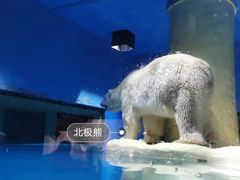 -大连圣亚海洋世界