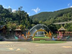 -西双版纳原始森林公园