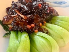 -京北渔家傲