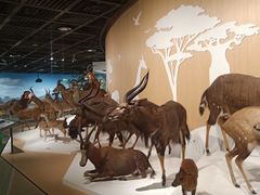 -陕西自然博物馆