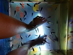 -汤连得温泉馆(宝山店)