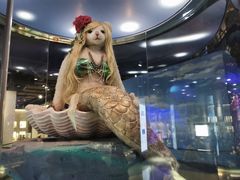 -成都泰迪熊博物馆