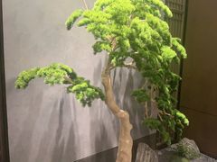 -百富源·海鲜辽菜(和平北大街店)