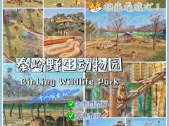 -西安秦岭野生动物园