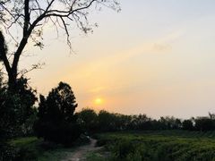 -南京市江宁方山