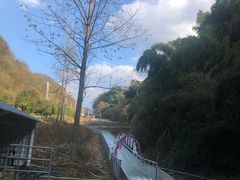 -龙宫洞风景区