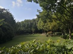 -上海市保健医疗中心