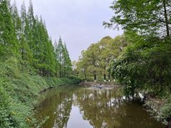 -成都南湖公园
