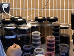 -SeekSeeking咖啡专门店(堰塘街店)