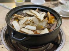 -蘑统田下·野生菌火锅