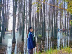 -东湖落雁景区